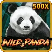 တောရိုင်းပန်ဒါ icon